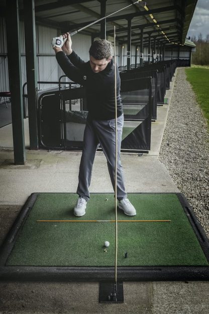 The Swing Plate - Image 5